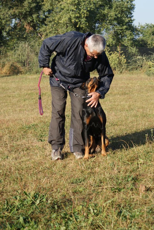 Kurz pro začátečníky - 26.9. a 3.10. 2009