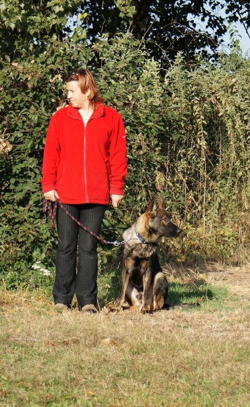 Kurz pro začátečníky - 26.9. a 3.10. 2009