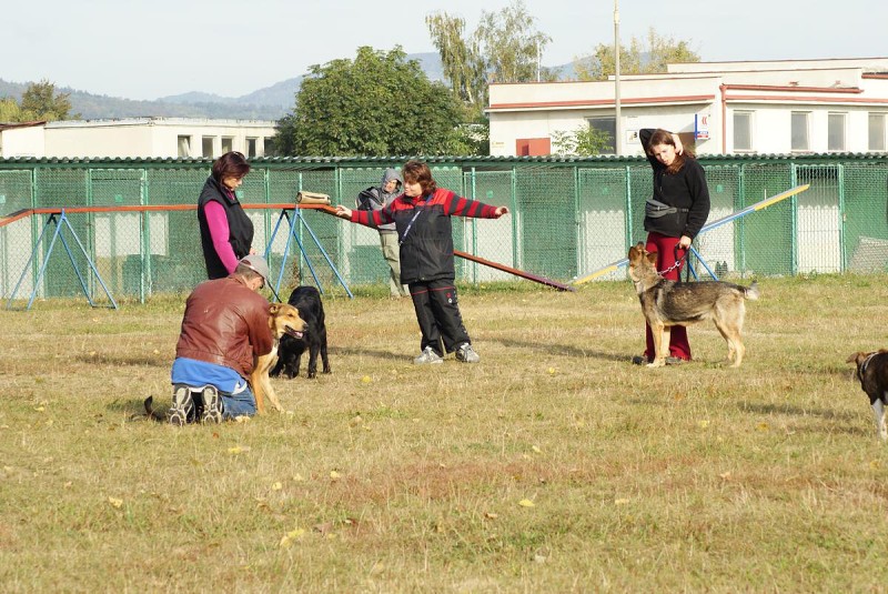 Kurz pro začátečníky - 26.9. a 3.10. 2009