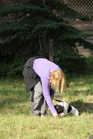 img00017.jpg