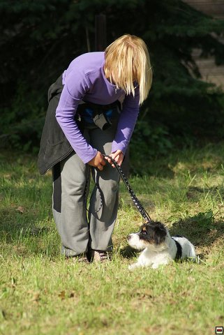 img00018.jpg