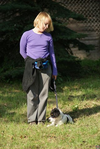 img00019.jpg
