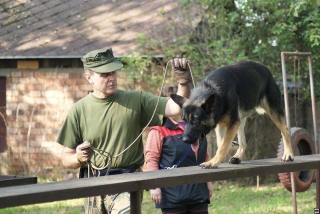 img00023.jpg