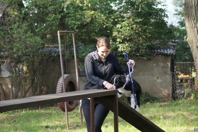 img00028.jpg