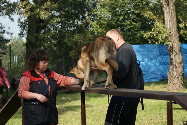 img00035.jpg