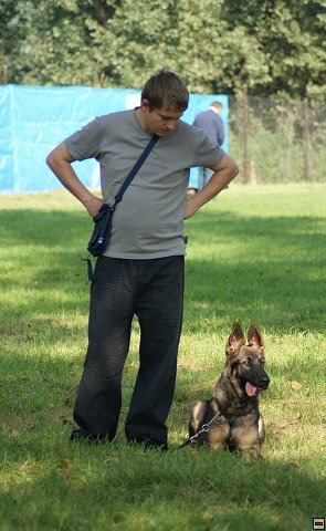 img00036.jpg