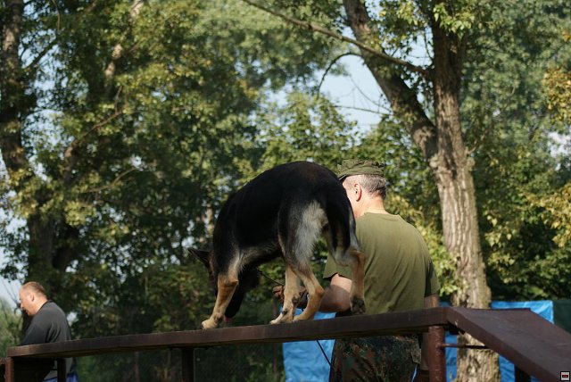 img00038.jpg