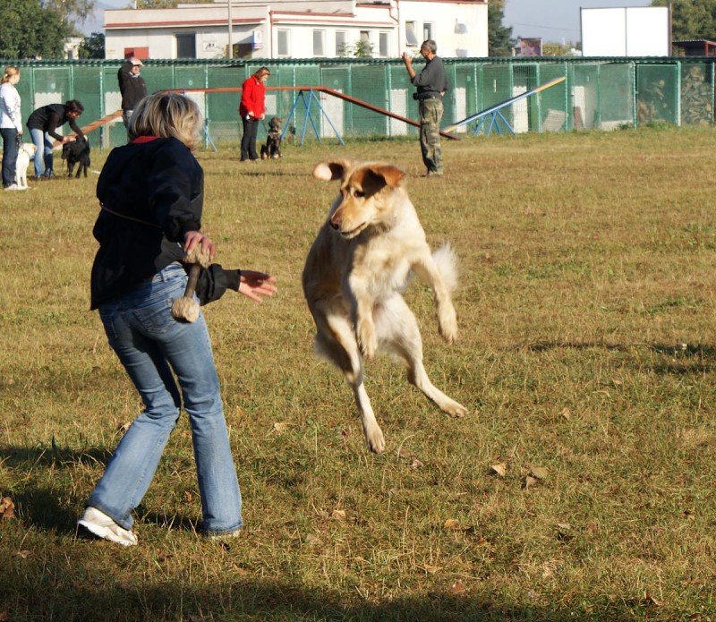 Výcvik  - 26.9. a 3.10. 2009