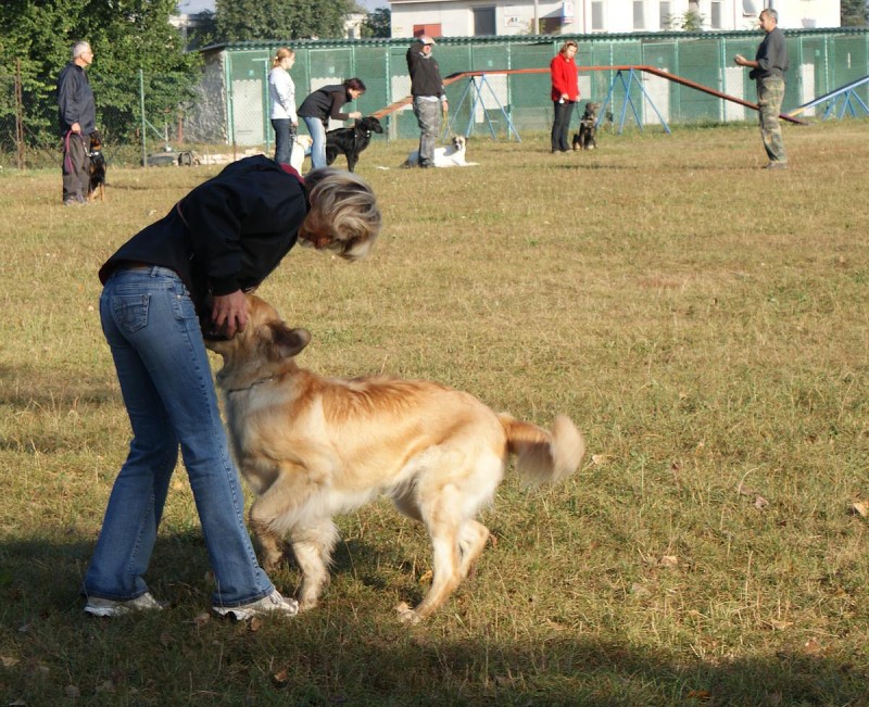 Výcvik  - 26.9. a 3.10. 2009