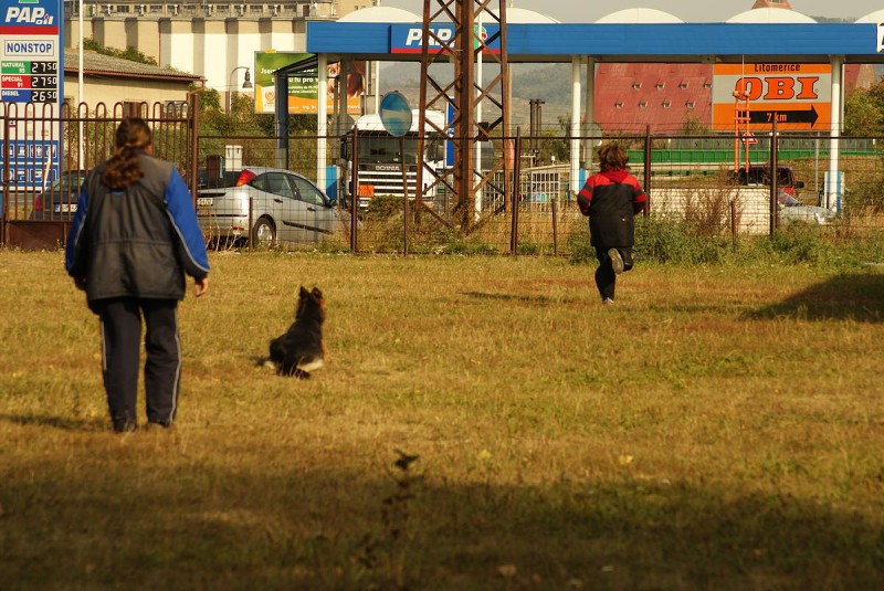 Výcvik  - 26.9. a 3.10. 2009