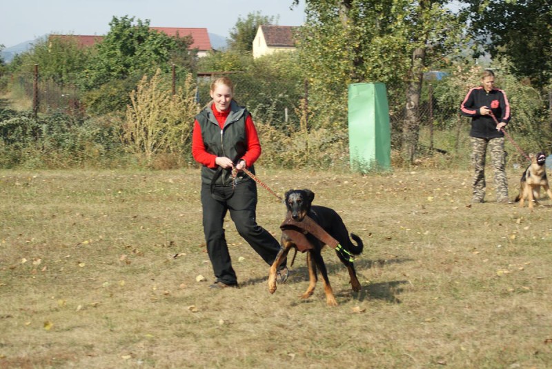 Výcvik  - 26.9. a 3.10. 2009