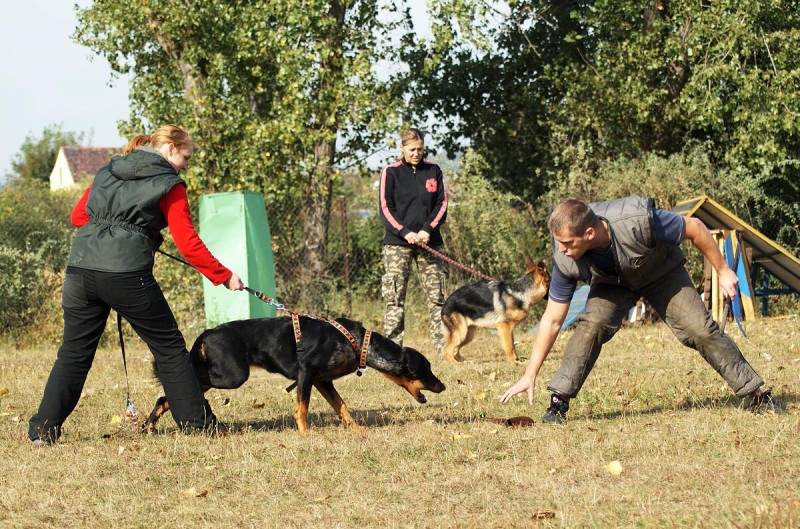 Výcvik  - 26.9. a 3.10. 2009