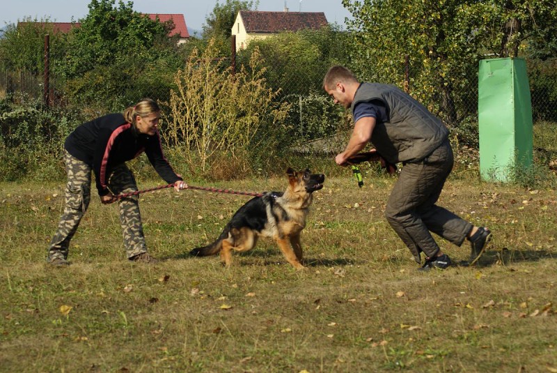 Výcvik  - 26.9. a 3.10. 2009