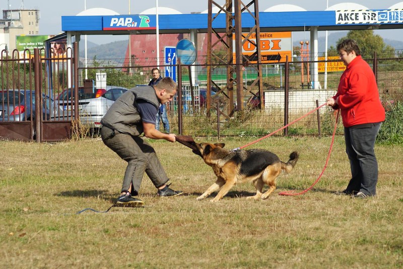 Výcvik  - 26.9. a 3.10. 2009