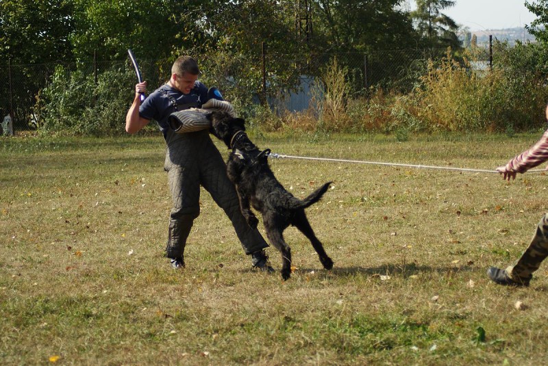 Výcvik  - 26.9. a 3.10. 2009