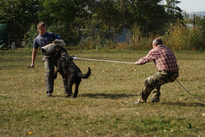 Výcvik  - 26.9. a 3.10. 2009