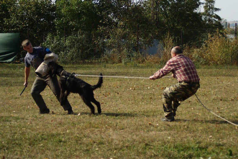 Výcvik  - 26.9. a 3.10. 2009