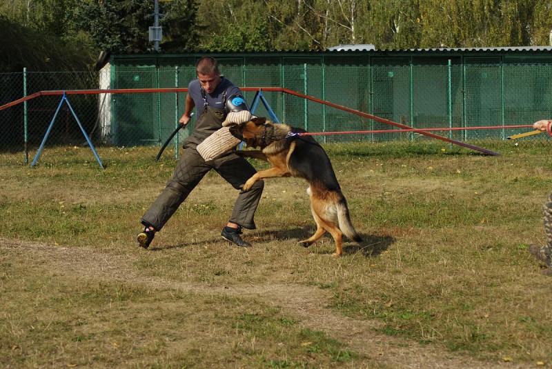 Výcvik  - 26.9. a 3.10. 2009
