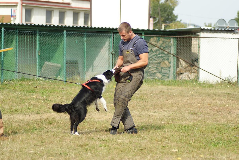 Výcvik  - 26.9. a 3.10. 2009