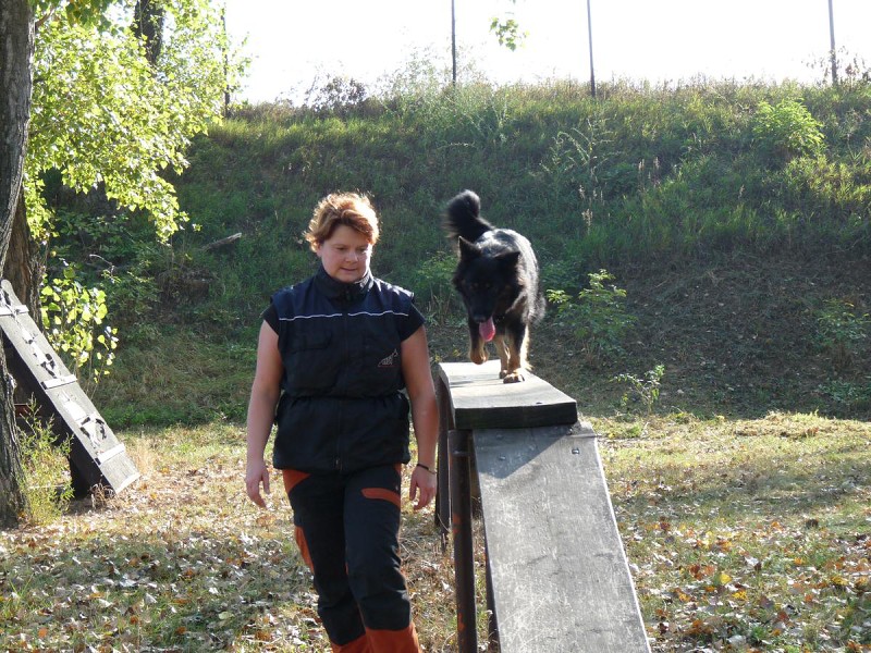 Výcvik  - 26.9. a 3.10. 2009