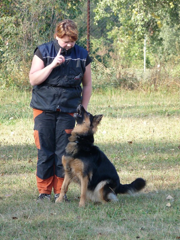 Výcvik  - 26.9. a 3.10. 2009