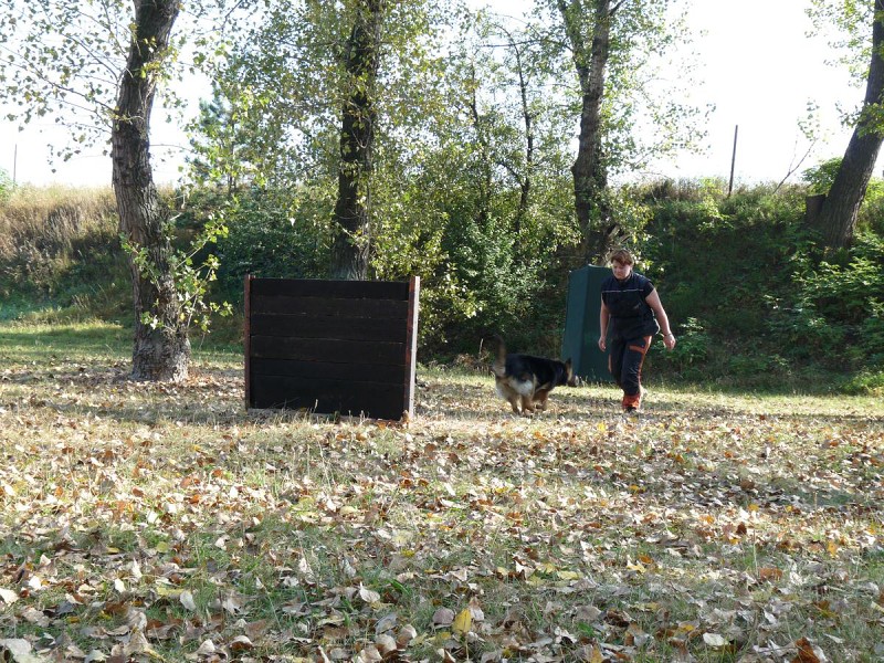 Výcvik  - 26.9. a 3.10. 2009