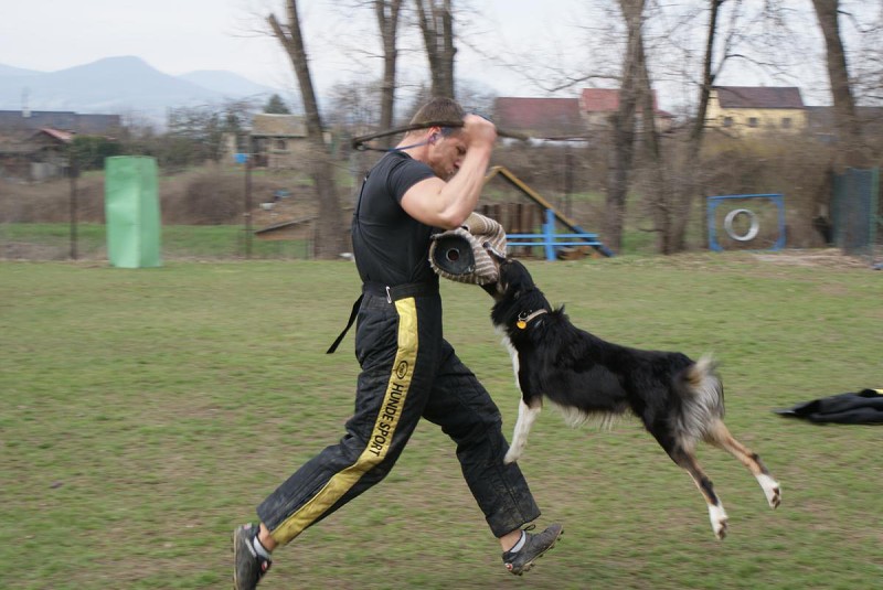  Výcvik 3.4.2010