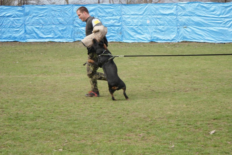  Výcvik 3.4.2010