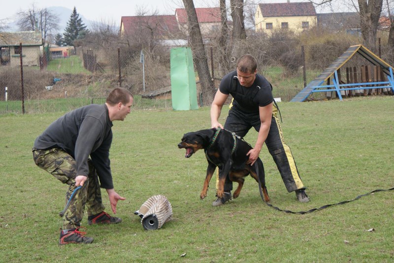  Výcvik 3.4.2010