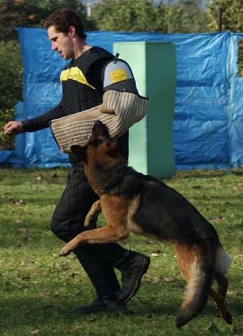 img00020.jpg