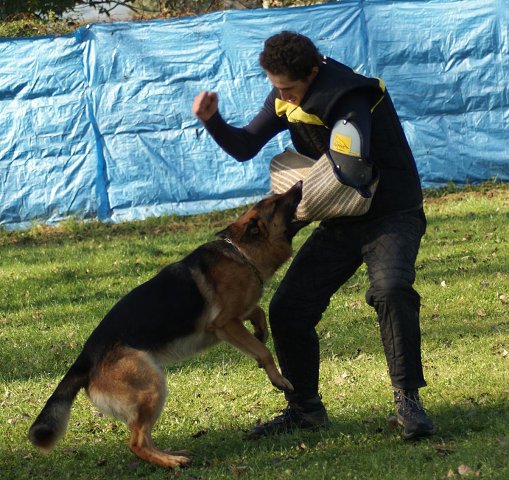 img00022.jpg