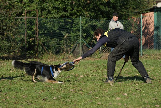 img00026.jpg
