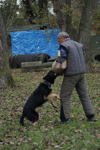 img00046.jpg
