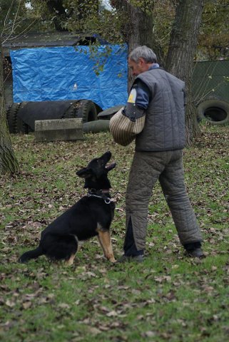 img00047.jpg
