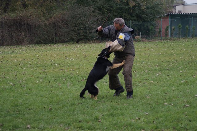 img00048.jpg