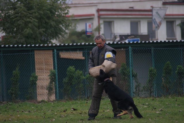 img00055.jpg