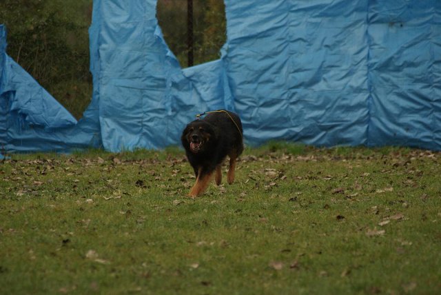 img00060.jpg