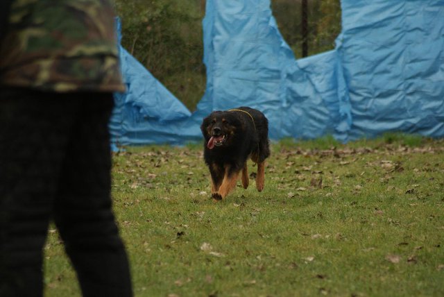 img00061.jpg