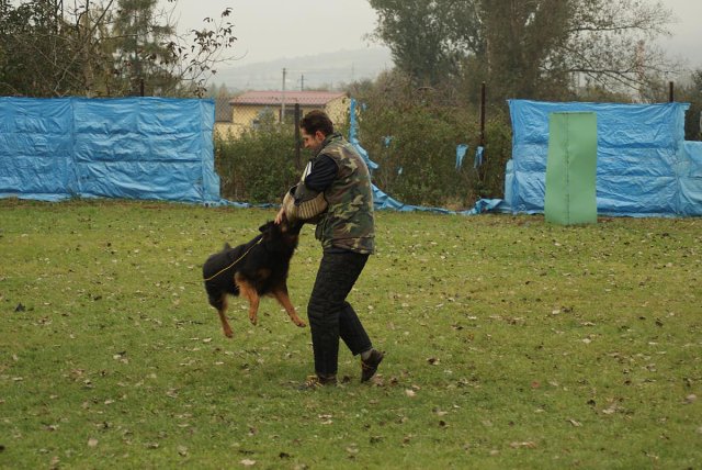 img00068.jpg
