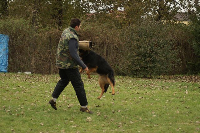 img00069.jpg