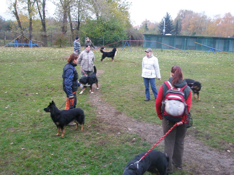 Zkoušky ZOP  -  31. 10. 2009