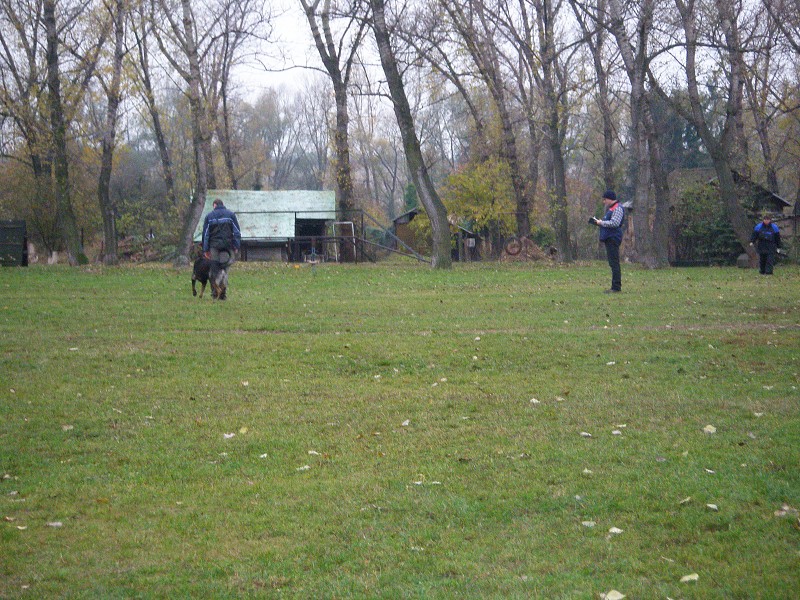 Zkoušky ZOP  -  31. 10. 2009