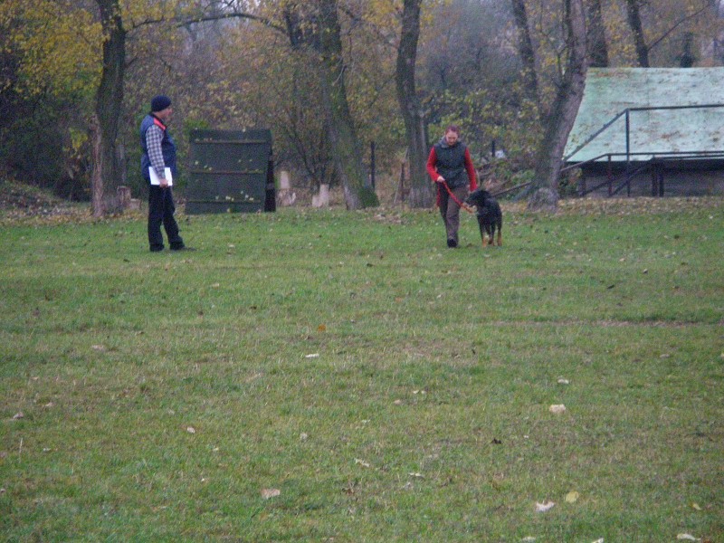 Zkoušky ZOP  -  31. 10. 2009