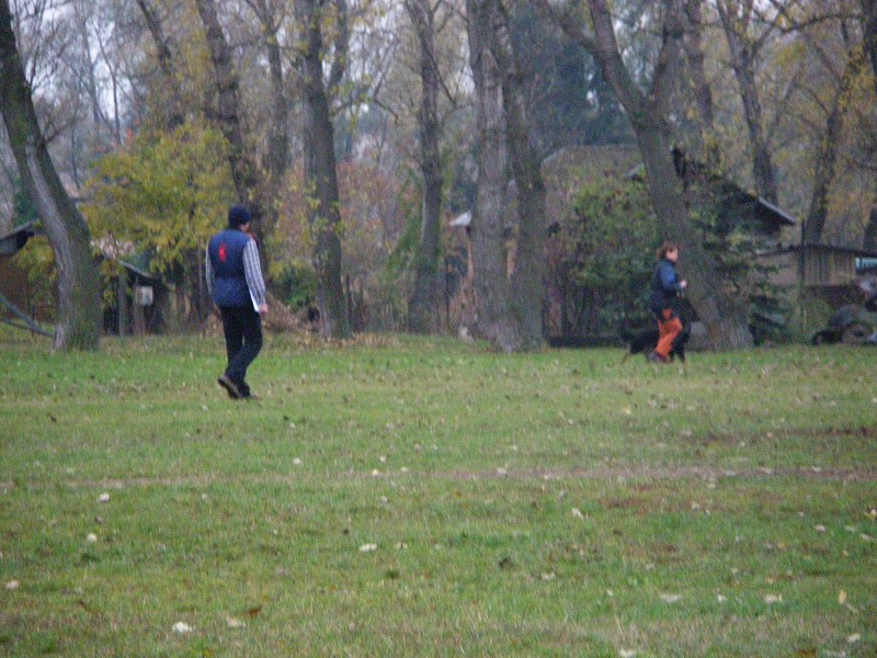 Zkoušky ZOP  -  31. 10. 2009