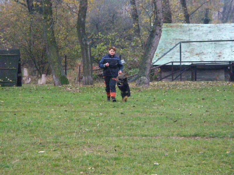 Zkoušky ZOP  -  31. 10. 2009