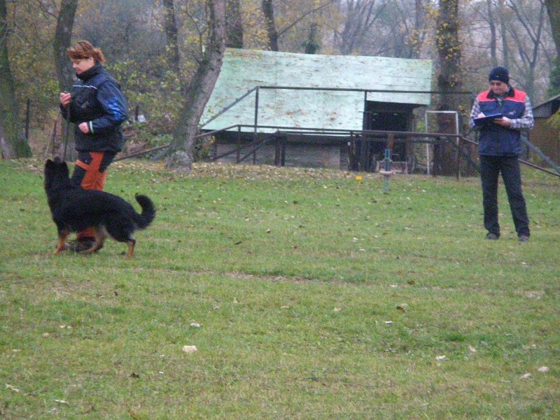 Zkoušky ZOP  -  31. 10. 2009