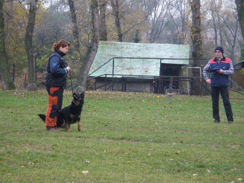 Zkoušky ZOP  -  31. 10. 2009