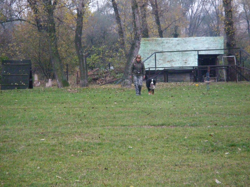 Zkoušky ZOP  -  31. 10. 2009