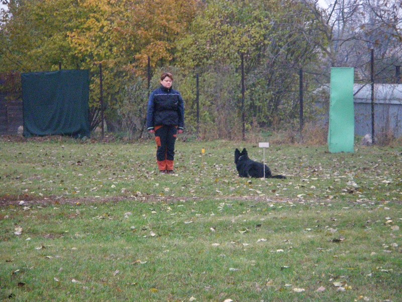 Zkoušky ZOP  -  31. 10. 2009