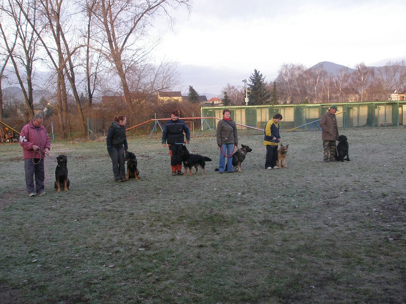 Zkoušky NZŘ  -  28. 11. 2009